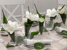 Table decoration with amaryllis and cobbler palm: 6/6