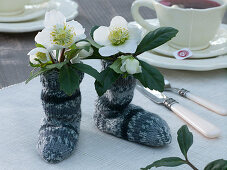 Christmas roses in self-made socks