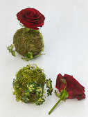 Moss ball with rose 4/5