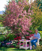 Malus 'Van Eseltine' (Zierapfel), Rhododendron 'Blauws Pink'