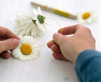 Napkin ring made from daisy flowers (1/2)