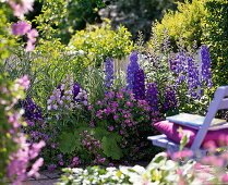 Blue-purple perennial bed