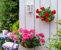 Wall baskets in summer