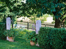 Buxus (boxwood hedge) interrupted by two stone columns