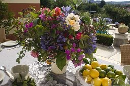 Bouquet of pot plants - pruning