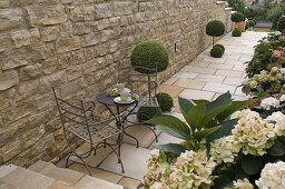 Flagstone path along natural stone wall, Buxus (boxwood), stems