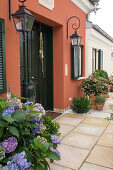 House entrance with hydrangea (hydrangea), Prunus laurocerasus