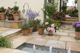 Slab path with water feature