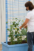 Box with clothesline as a climbing aid (6/7)