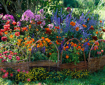 Willow elements braid for bedding border