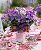 Table decoration with bellflowers
