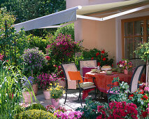 Terrace with potted plants, awning as sunscreen