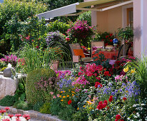 Sommerbeet mit Rosa (Rosen), Phlox (Flammenblumen), Delphinium