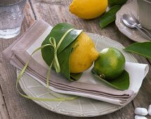 Zitronen-Tischdekoration