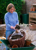 Lohas series: tip: reuse unrooted soil from plants Woman removes loose soil from plant before composting.