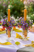 Aster (Herbstastern), Euonymus (Pfaffenhütchen), Clematis