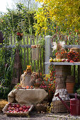 Workplace in the cottage garden decorated in autumn