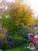 Terraced house garden with seating area and autumn bed