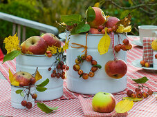 Malus (apple, ornamental apple) with autumn leaves in white tin cans