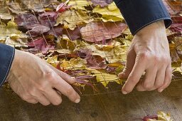 Scroll carpet of autumn leaves and wire mesh