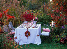 Table in front of autumn bed with Miscanthus (Chinese reed) in the evening