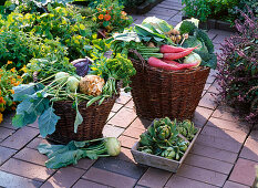 Baskets with vegetables