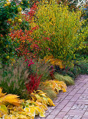 Herbstbeet an Terrasse