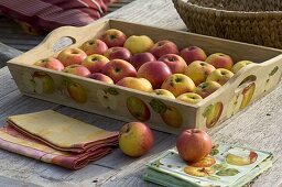 Wooden tray with napkin 'apple'