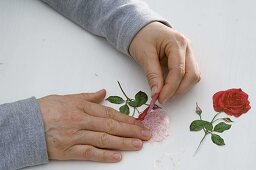 Roses in wooden carrier with napkin technique