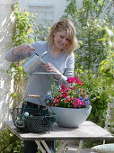 Planting a pink and light blue bowl (3/5)