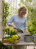 Planting wooden box with yellow and white flowers