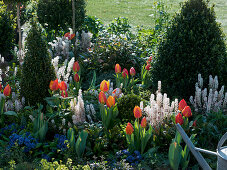 Green-white-orange bed with Buxus (boxwood)