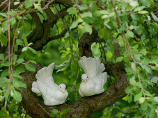 White ceramic pigeons in branch fork of Salix caprea 'Pendula' (Ribes)