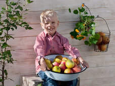 Boy with enamelled bowl of 'Cox Orange' apples