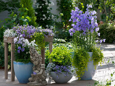 Terrasse mit Glockenblumen