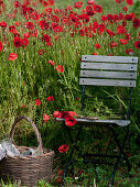 Folding chair by the poppy field