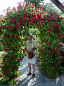 Rosa 'Gruß an Heidelberg' (Kletterrosen) an Rosenbogen