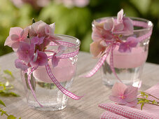 Small glasses with hydrangea (hydrangea blossoms), ribbon