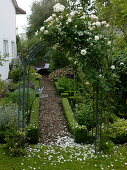 Rose arch with rose (white climbing rose), beds with borders