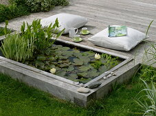 Build mini-pond out of flower bed with wooden border