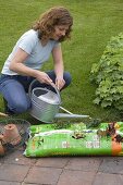 Plant a mini sweet garden in a soil bag (4/5)