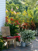 Potted plants terrace