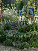 Blue and white late summer border