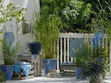Blue balcony with grasses, old wine crates as furniture