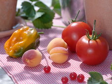 Peppers (Capsicum), apricots (Prunus armeniaca), tomatoes (Lycopersicon)