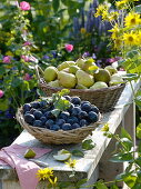 Freshly harvested plums and pears in baskets on bench