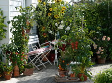 Snack terrace with tomatoes and peppers