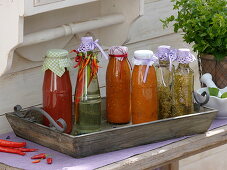 Flaschen mit selbstgemachtem Tomaten-Sugo