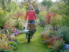 Autumn beds with grasses, perennials, summer flowers and woody plants