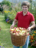 Young man with freshly picked apples in a wicker basket